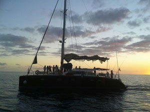 Dauphin Playa Catamaran Gran Canaria Boat Trips 2025